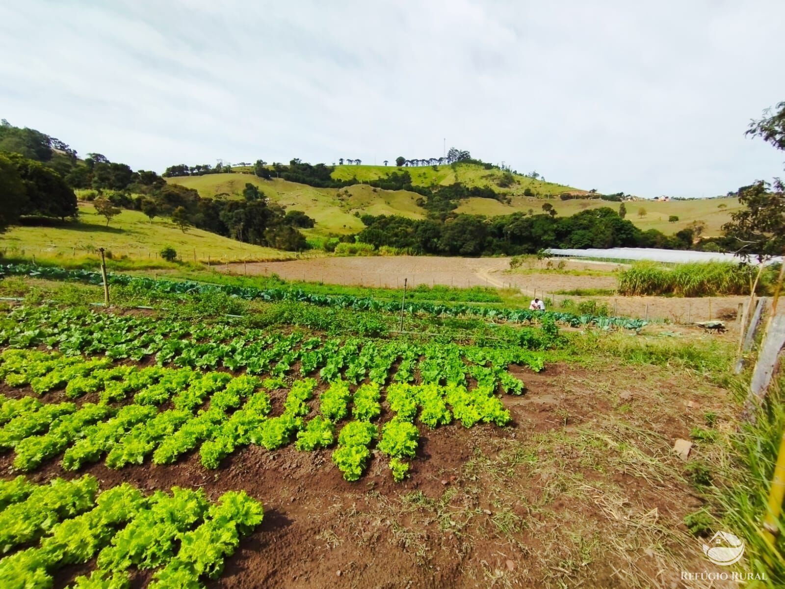 Fazenda à venda com 2 quartos - Foto 10