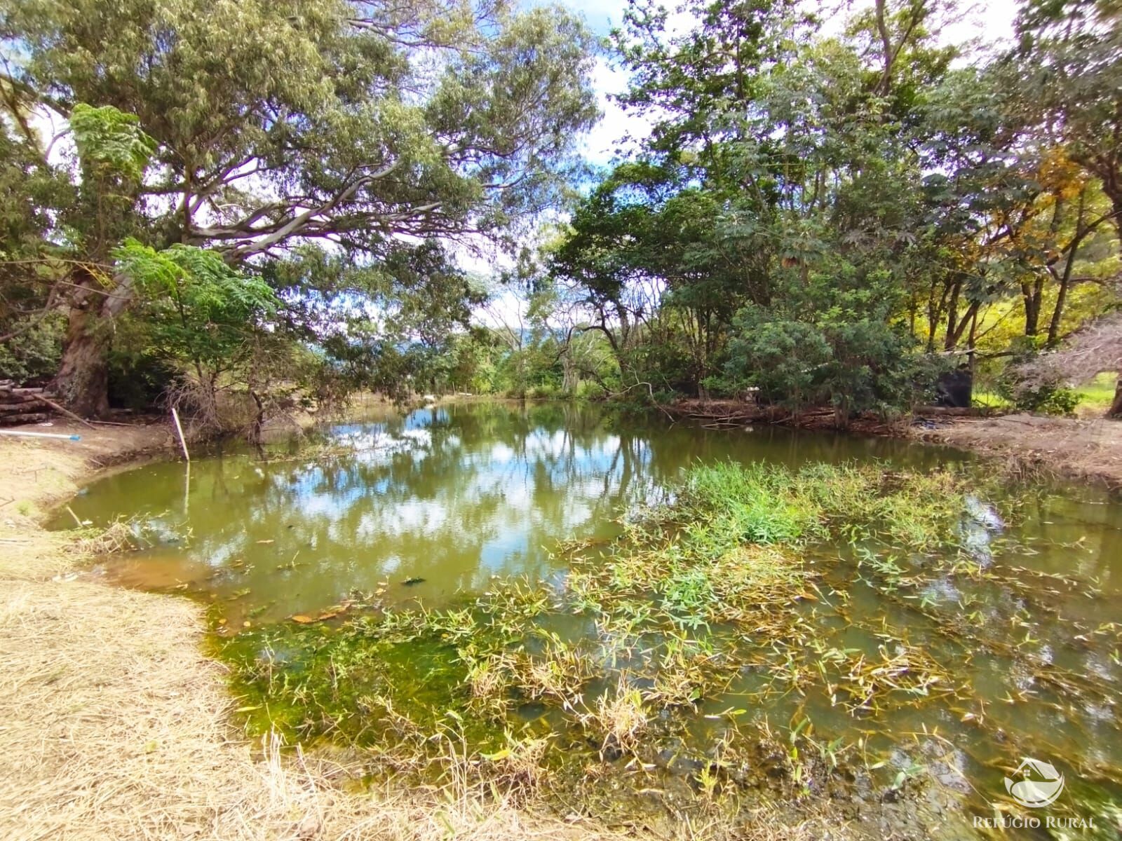 Fazenda à venda com 2 quartos - Foto 21