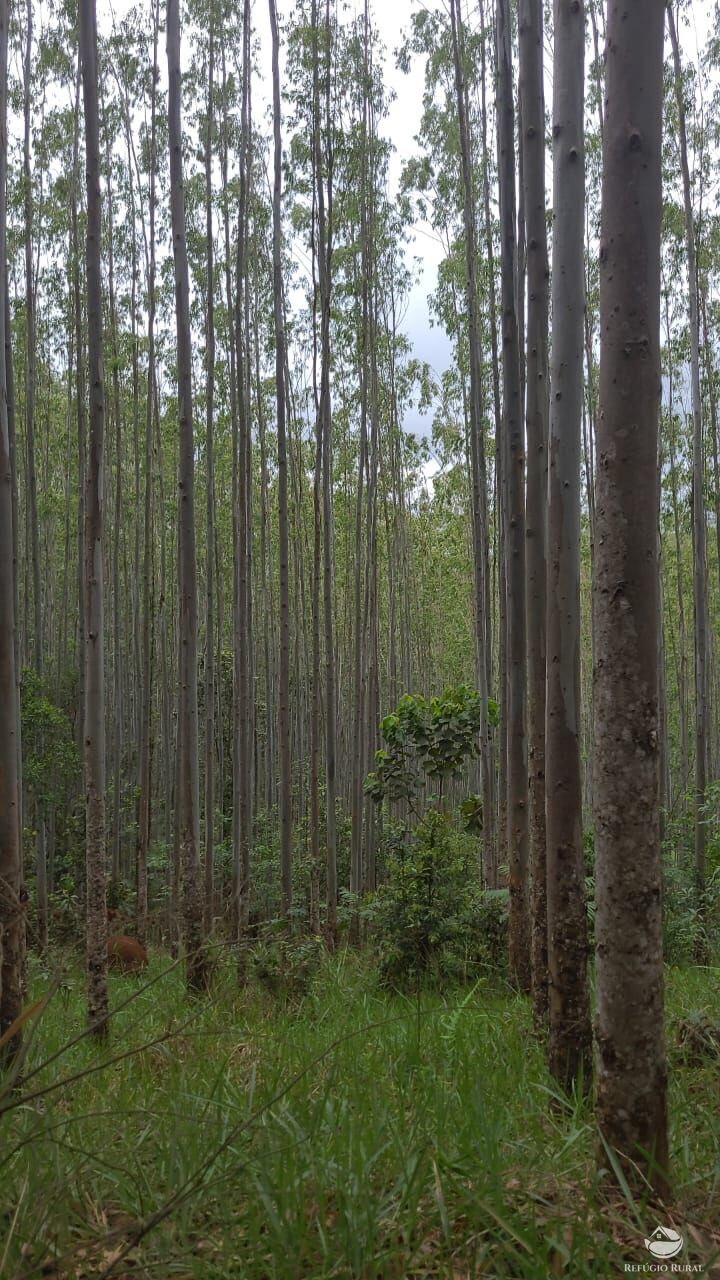 Fazenda à venda com 1 quarto, 1340000m² - Foto 2