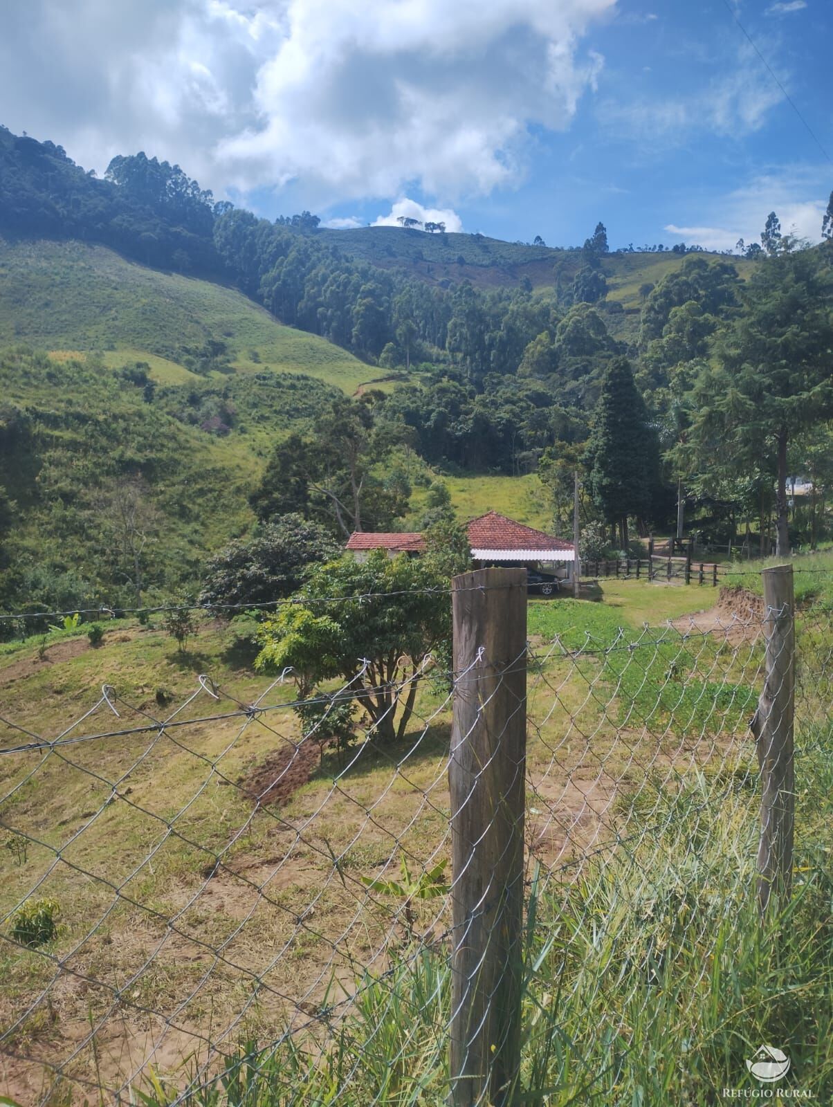 Chácara à venda com 1 quarto, 3400m² - Foto 4