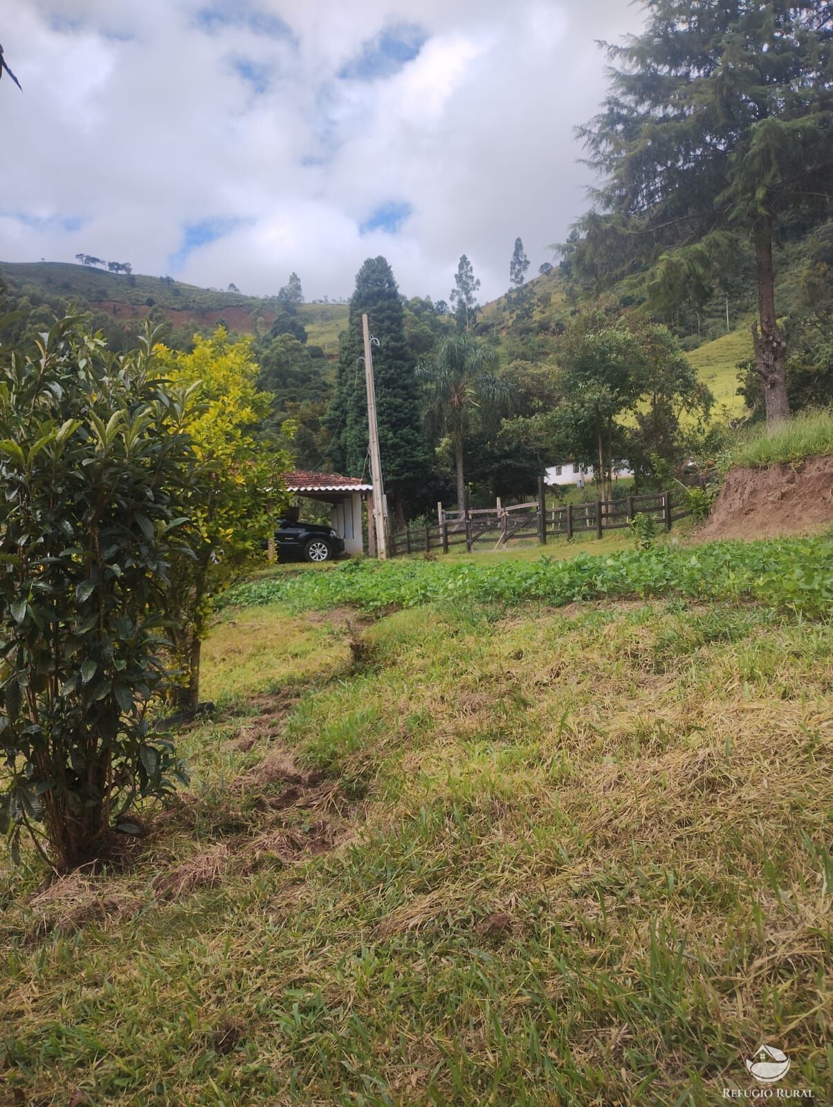 Chácara à venda com 1 quarto, 3400m² - Foto 5