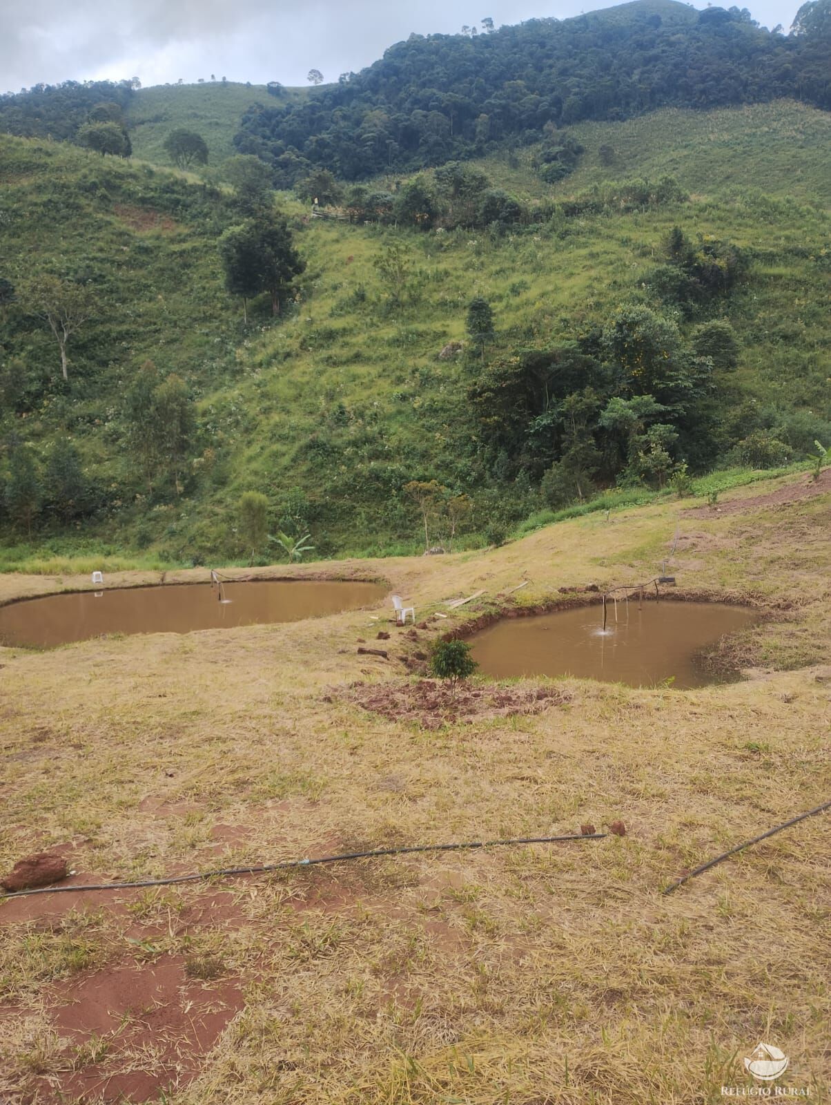 Chácara à venda com 1 quarto, 3400m² - Foto 6