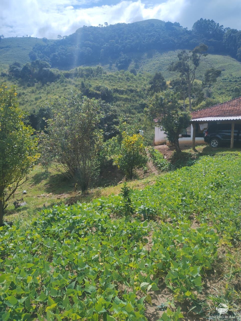 Chácara à venda com 1 quarto, 3400m² - Foto 2