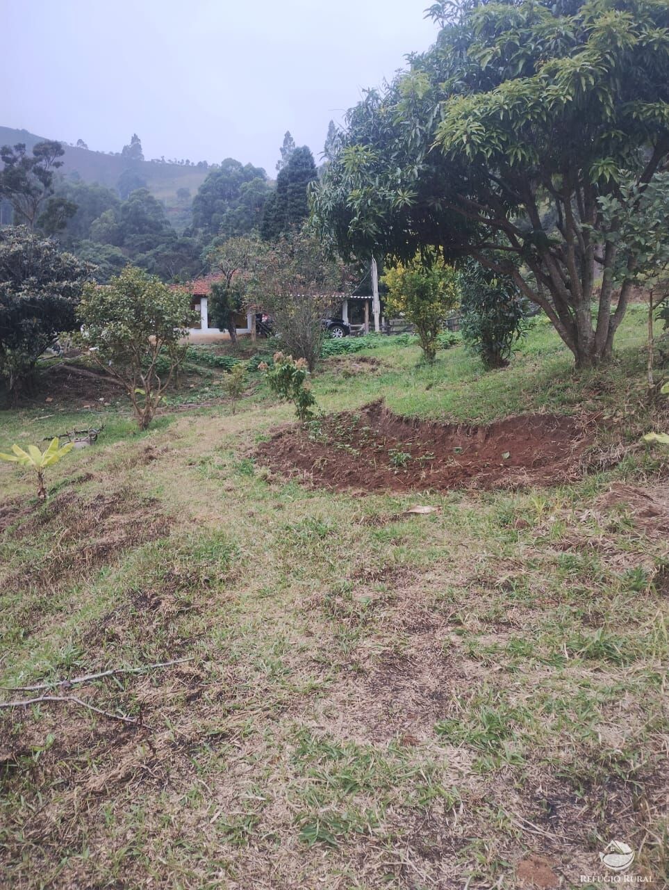Chácara à venda com 1 quarto, 3400m² - Foto 8