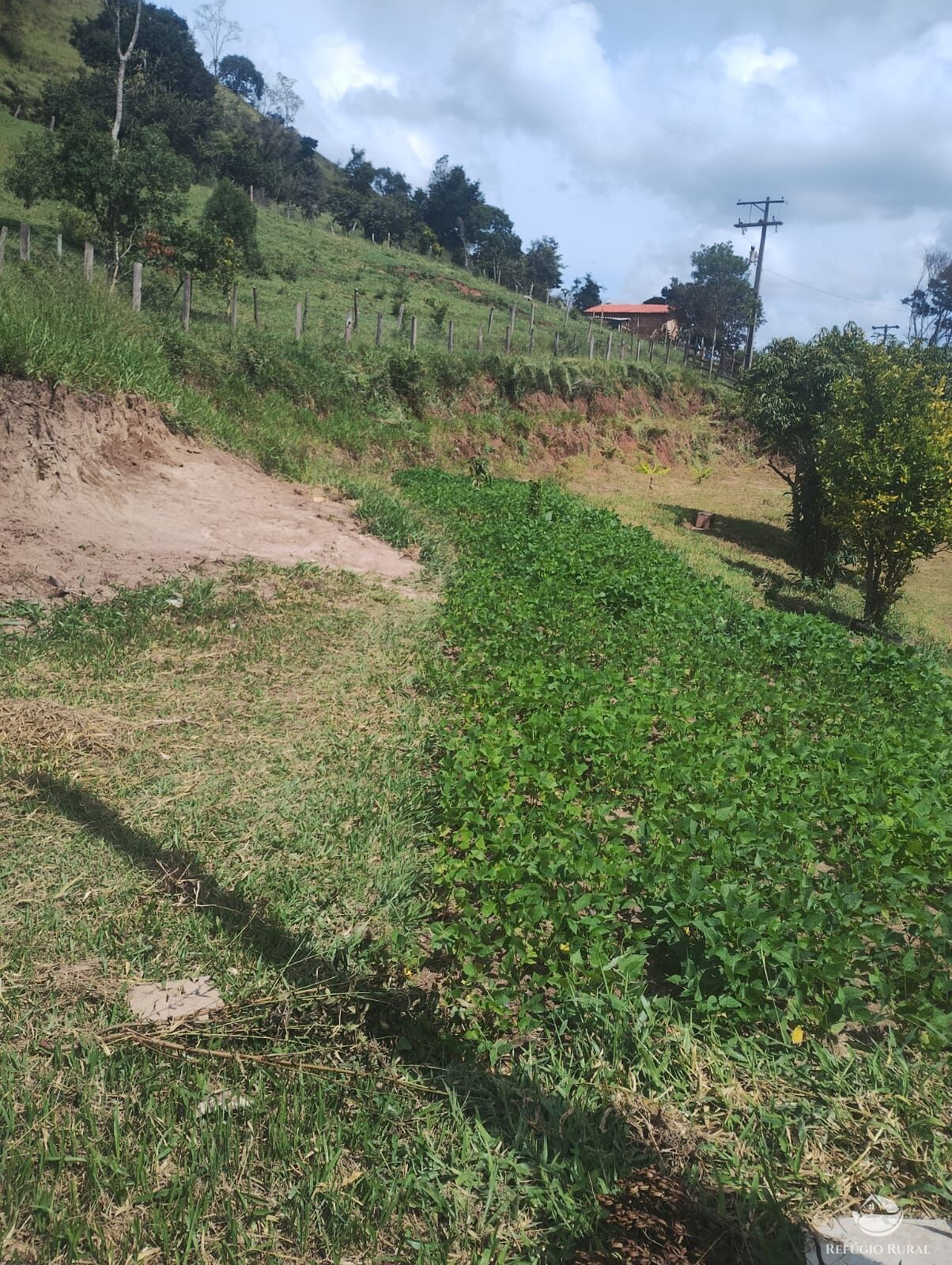 Chácara à venda com 1 quarto, 3400m² - Foto 9