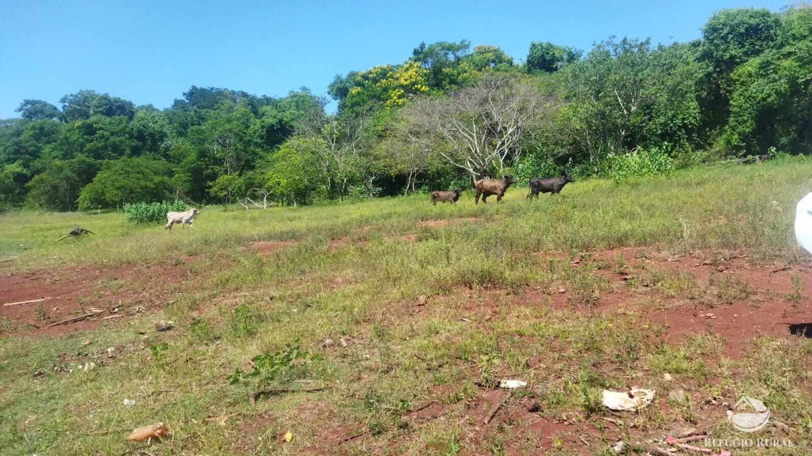 Fazenda à venda com 1 quarto, 411400m² - Foto 8