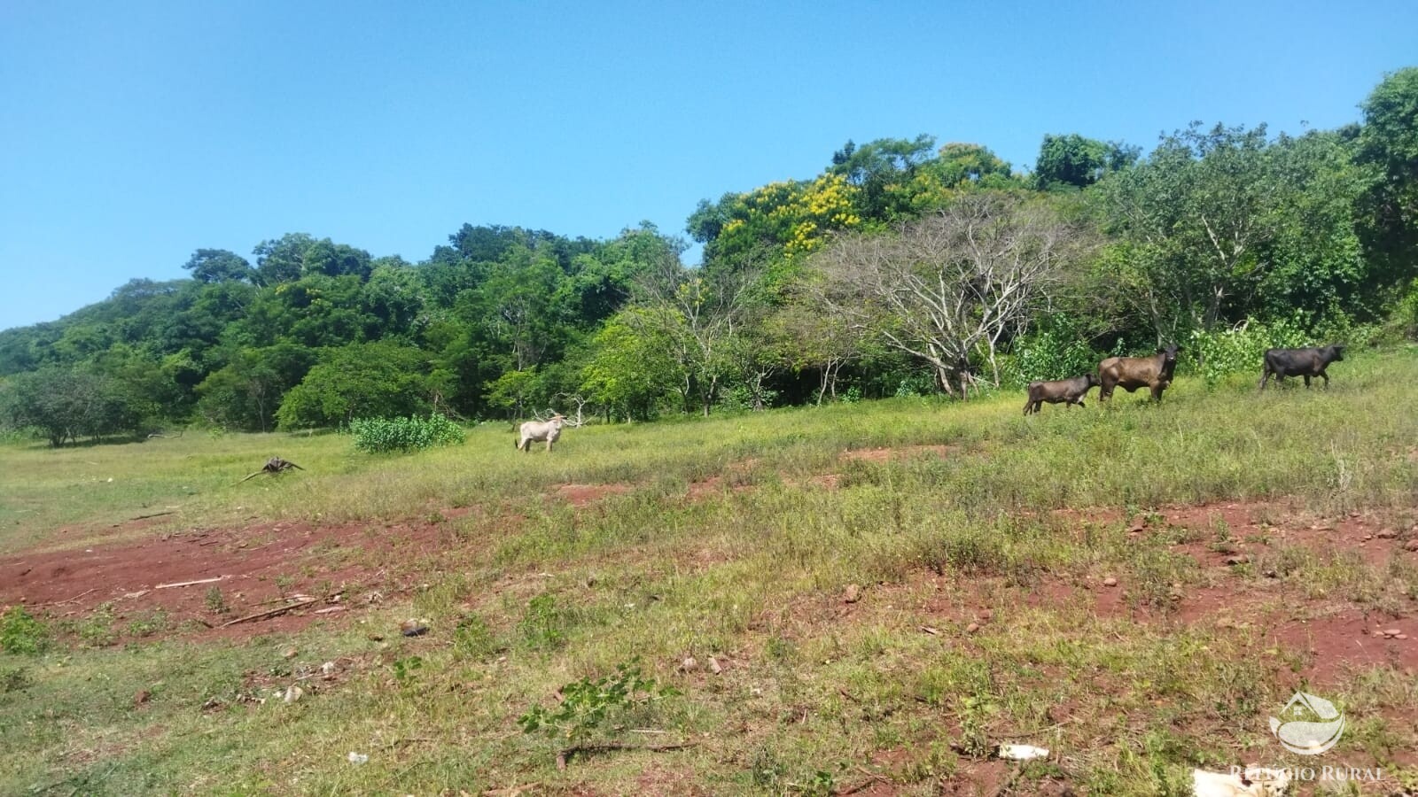 Fazenda à venda com 1 quarto, 411400m² - Foto 15