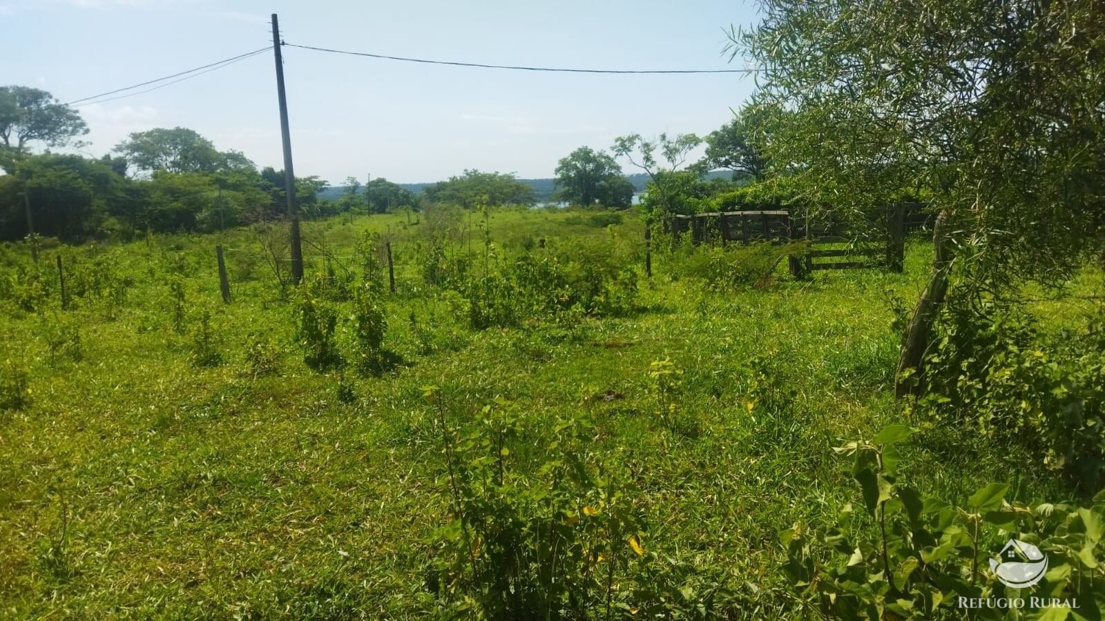 Fazenda à venda com 1 quarto, 411400m² - Foto 7