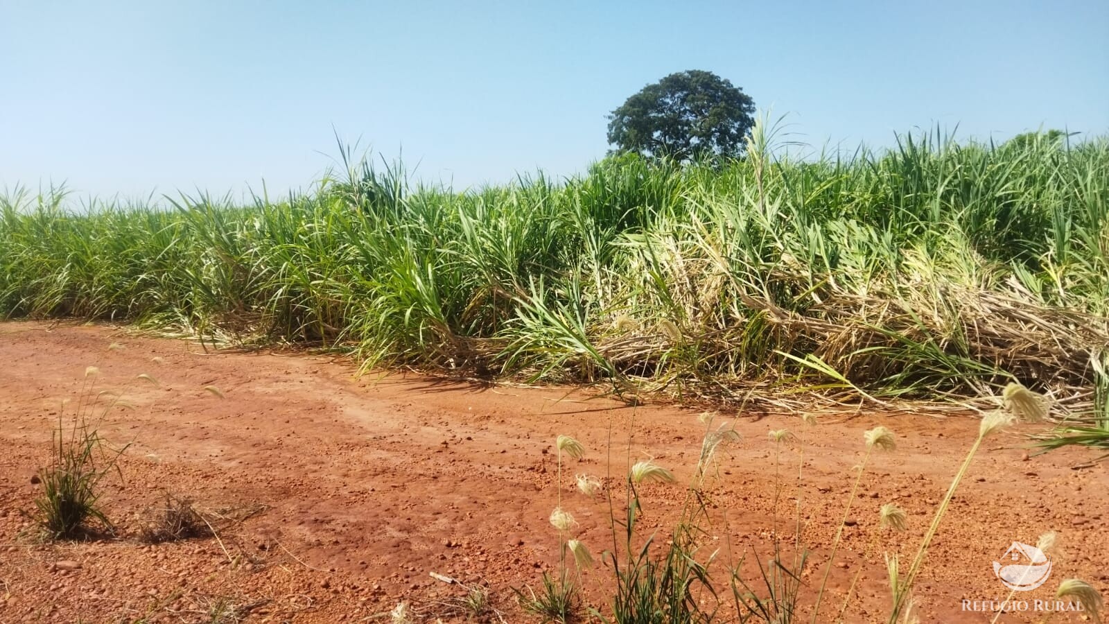 Fazenda à venda com 1 quarto, 411400m² - Foto 3