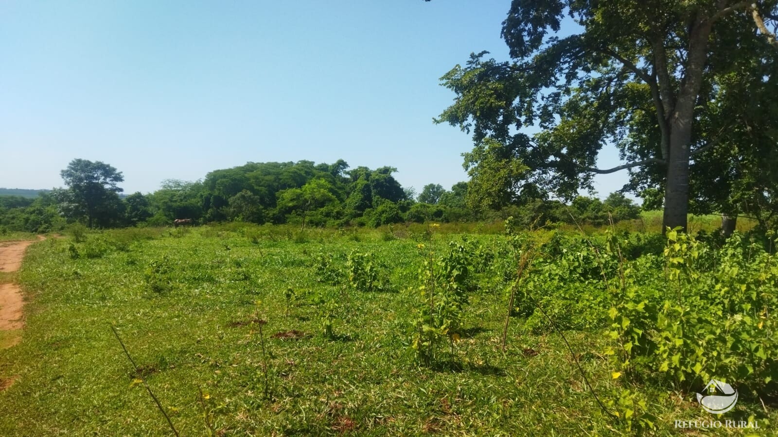 Fazenda à venda com 1 quarto, 411400m² - Foto 10