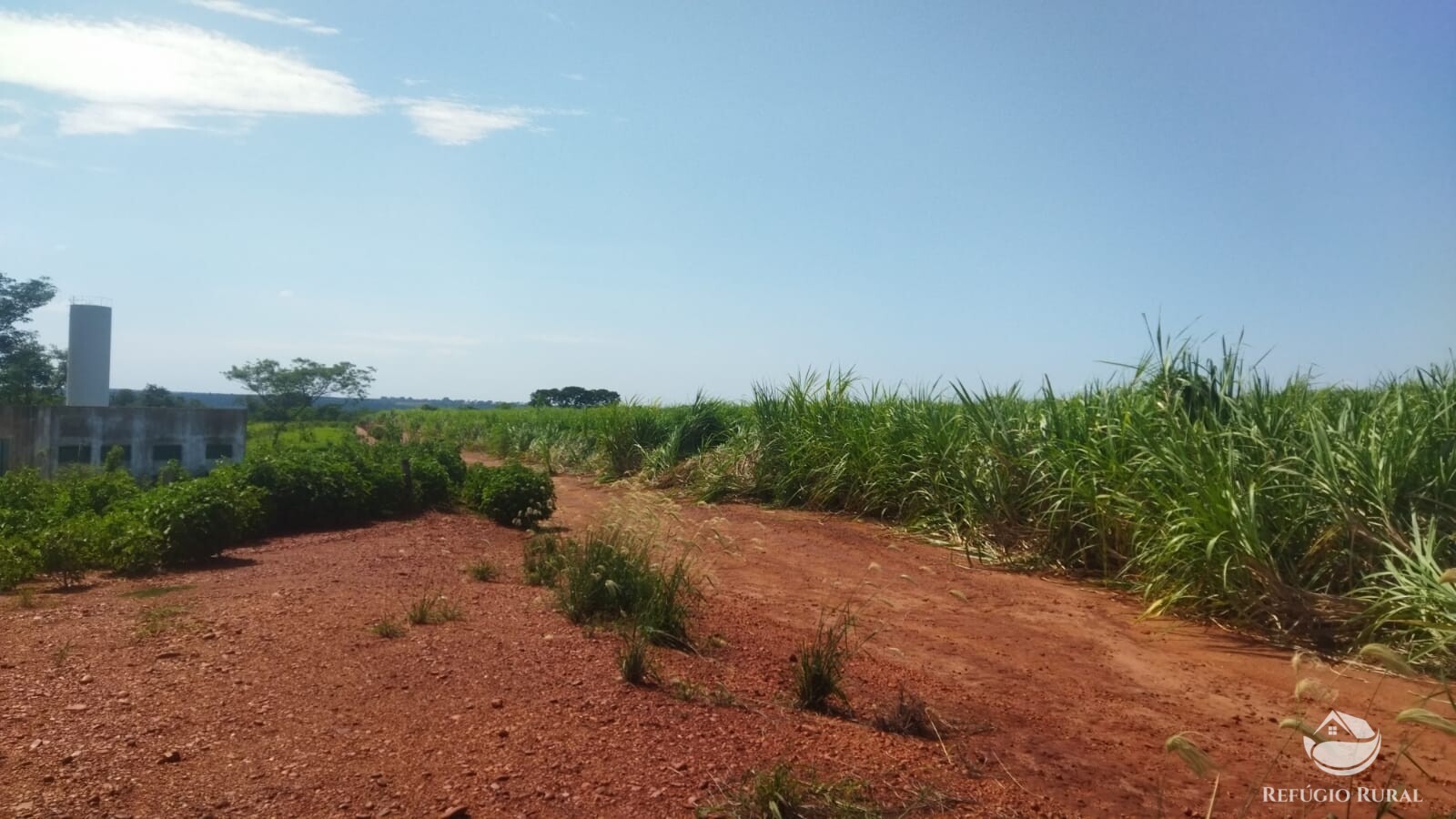 Fazenda à venda com 1 quarto, 411400m² - Foto 4