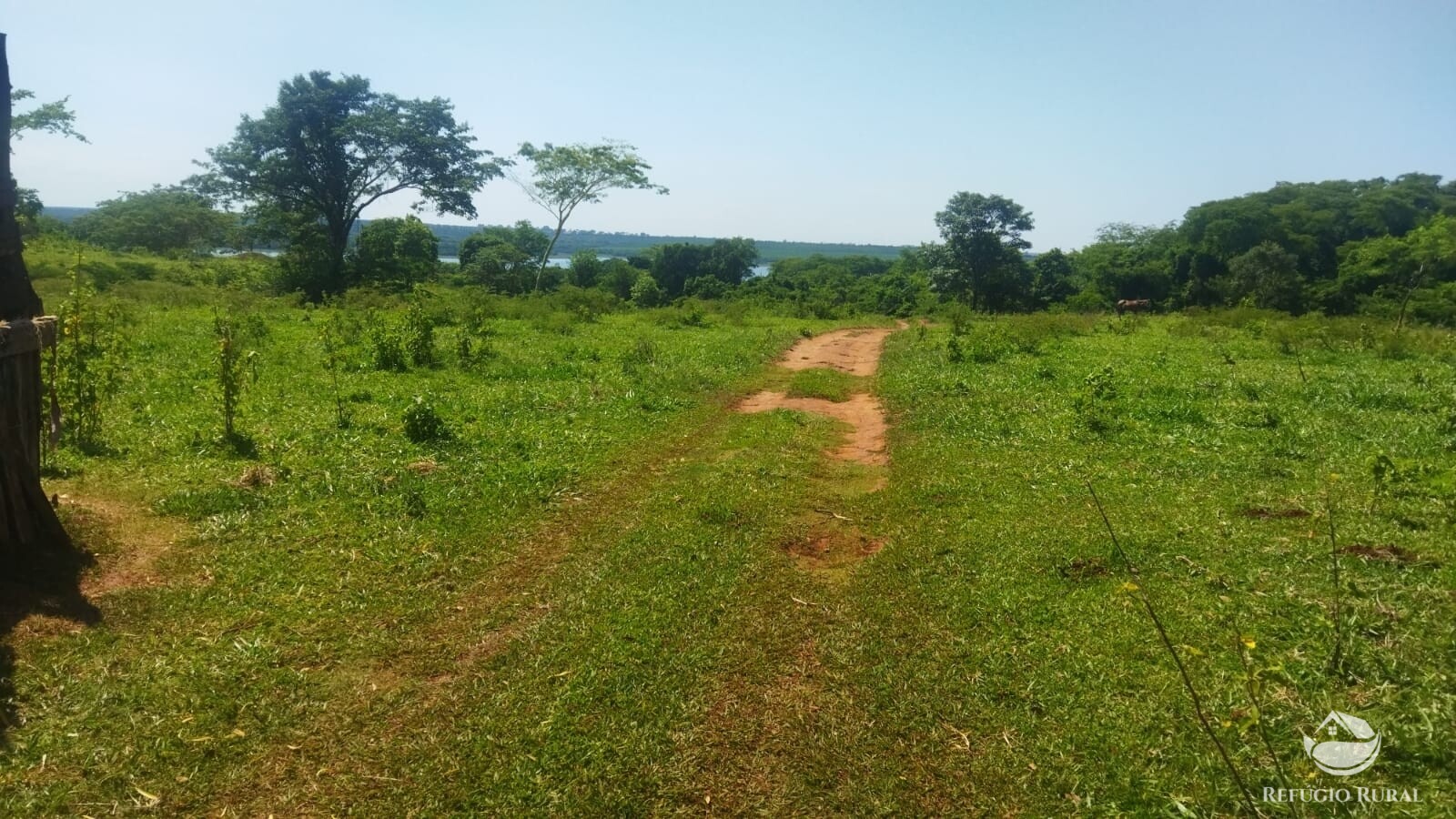 Fazenda à venda com 1 quarto, 411400m² - Foto 11