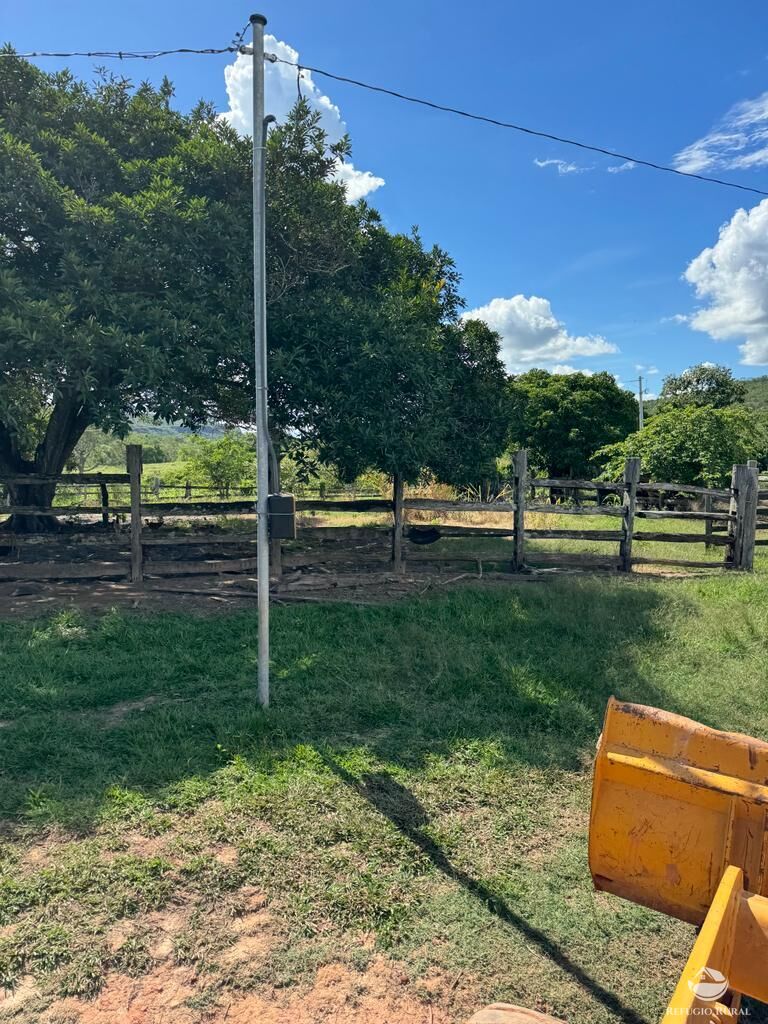 Fazenda à venda com 2 quartos, 19360000m² - Foto 10