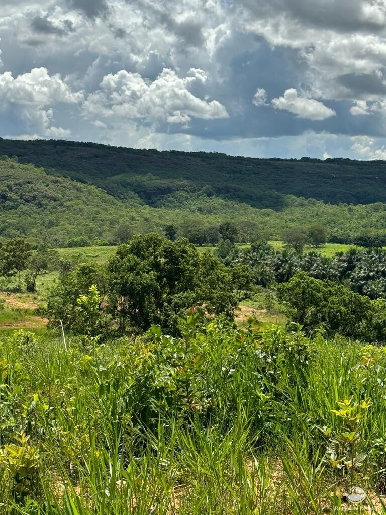 Fazenda à venda com 2 quartos, 19360000m² - Foto 14