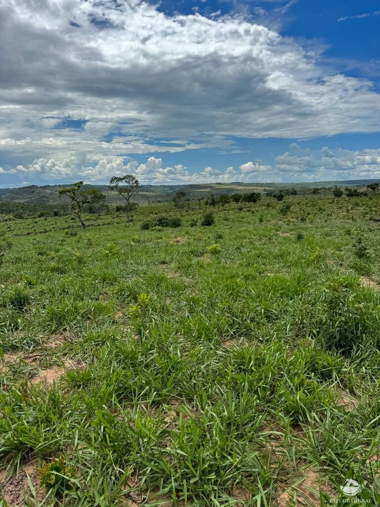 Fazenda à venda com 2 quartos, 19360000m² - Foto 11