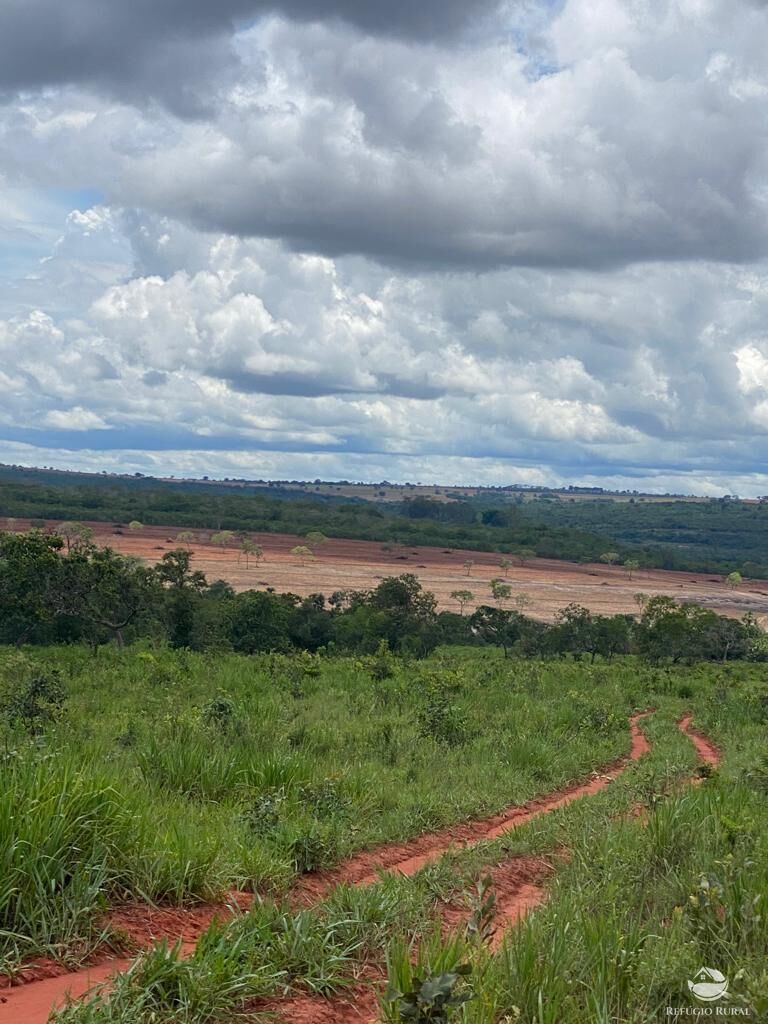 Fazenda à venda com 2 quartos, 19360000m² - Foto 15