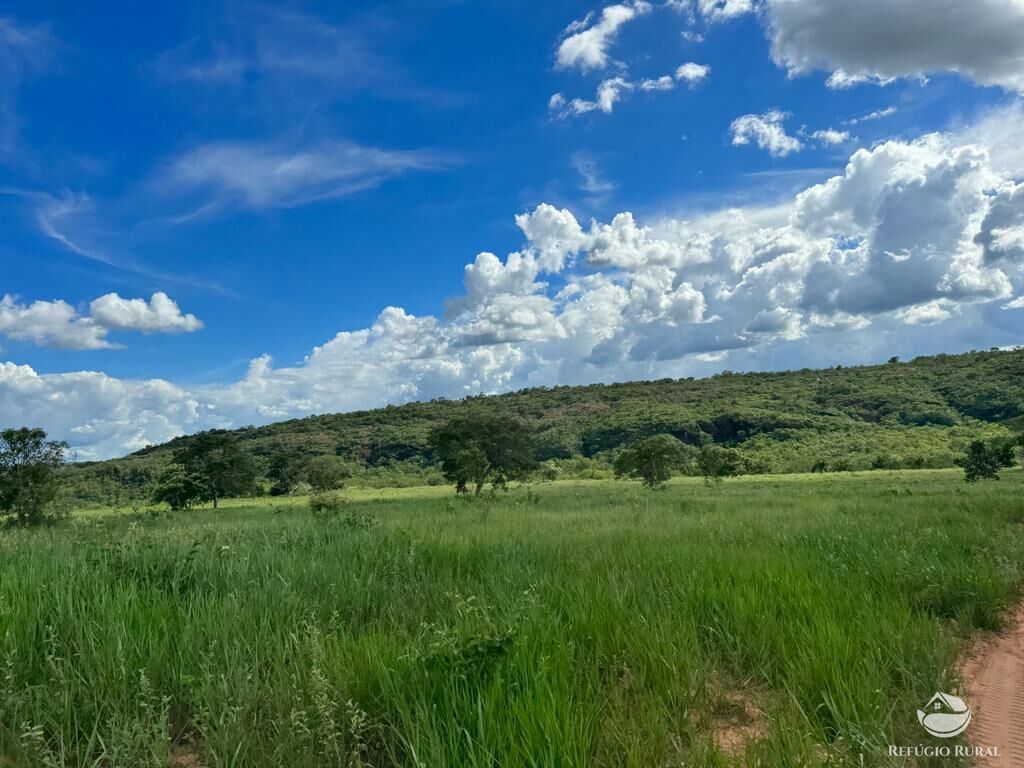 Fazenda à venda com 2 quartos, 19360000m² - Foto 12