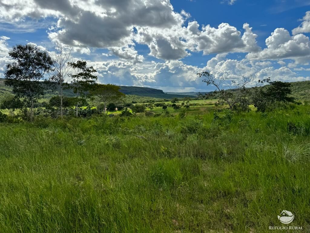 Fazenda à venda com 2 quartos, 19360000m² - Foto 5