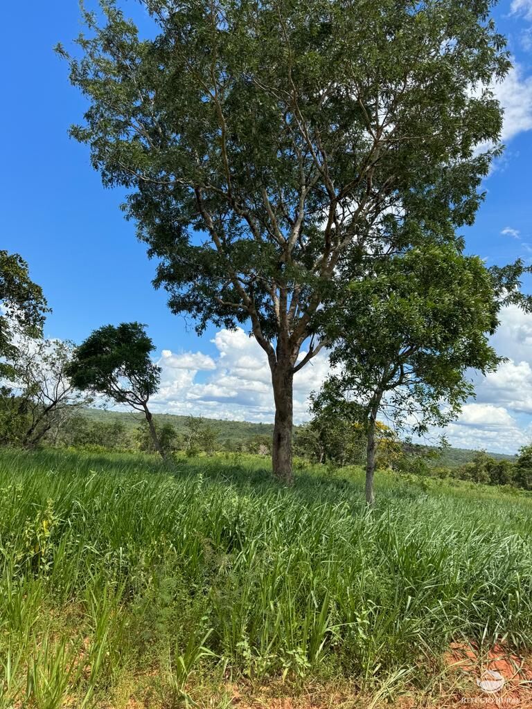 Fazenda à venda com 2 quartos, 19360000m² - Foto 7