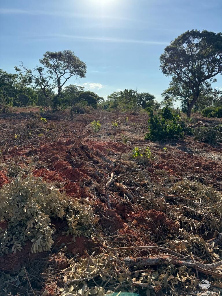 Fazenda à venda com 2 quartos, 19360000m² - Foto 17