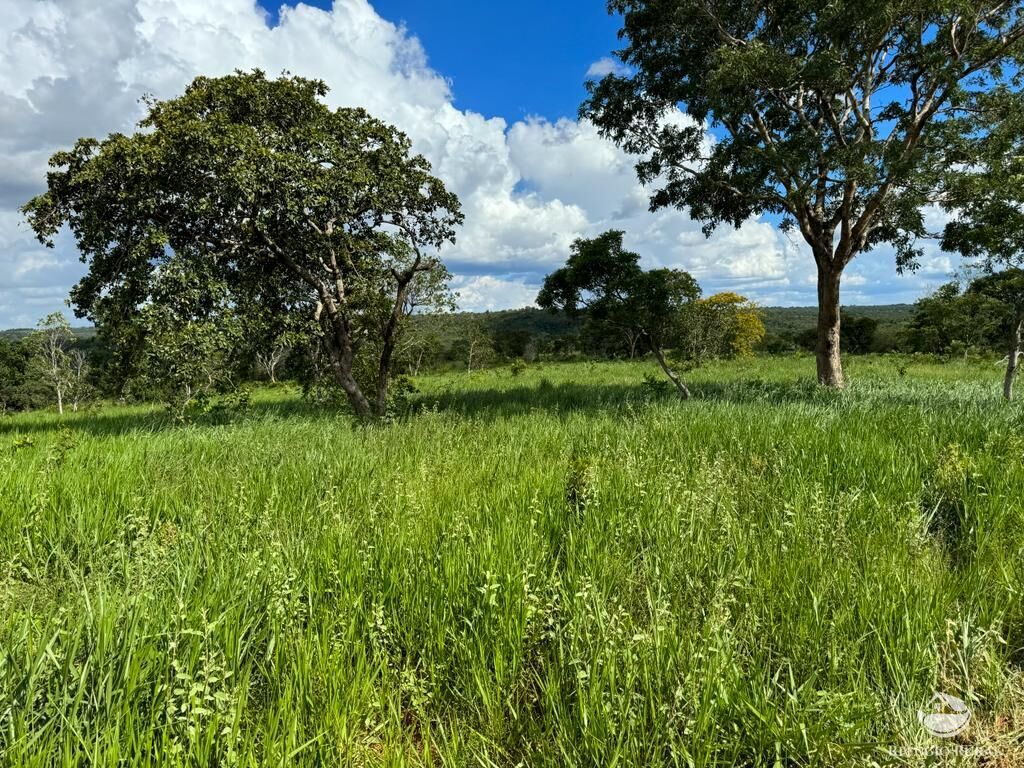 Fazenda à venda com 2 quartos, 19360000m² - Foto 8