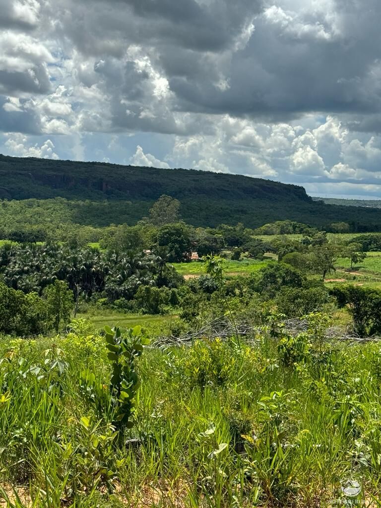 Fazenda à venda com 2 quartos, 19360000m² - Foto 4