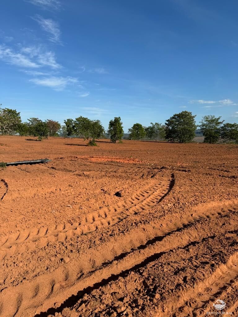 Fazenda à venda com 2 quartos, 19360000m² - Foto 6