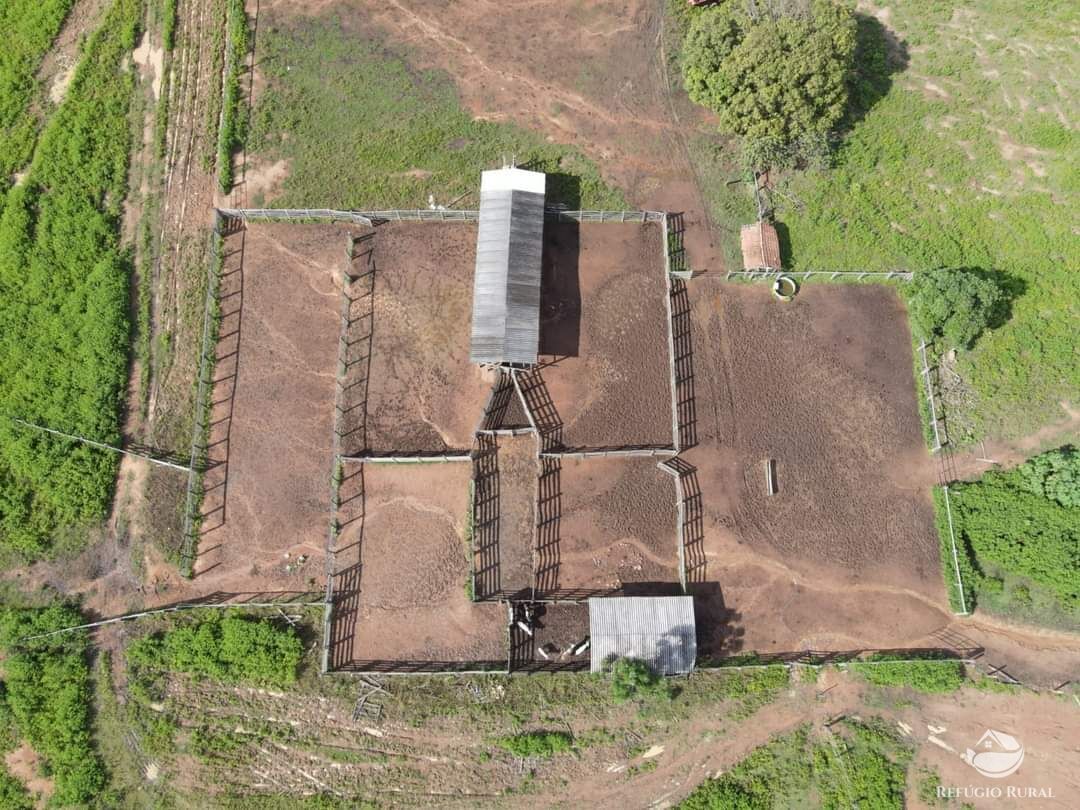 Fazenda à venda com 6 quartos, 50578000m² - Foto 3