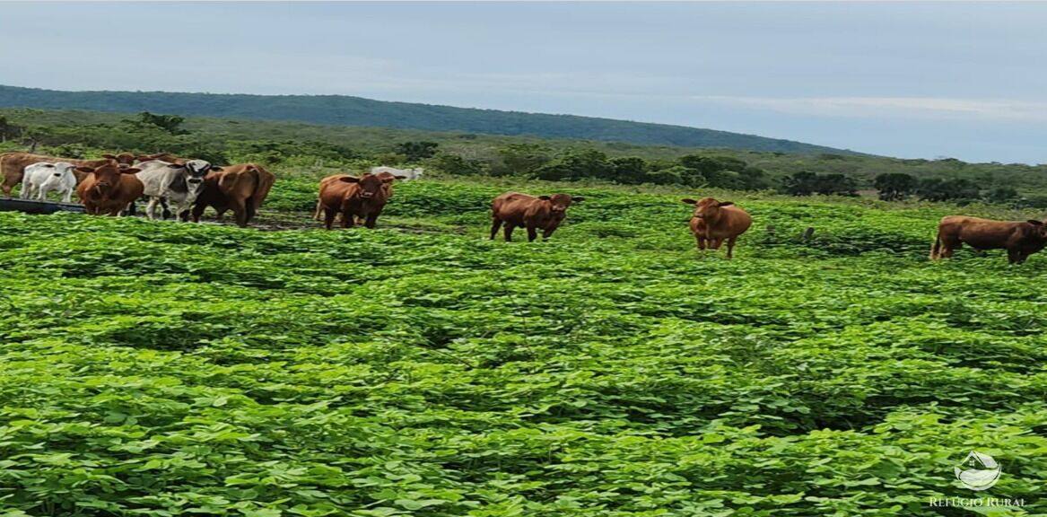 Fazenda à venda com 6 quartos, 50578000m² - Foto 5