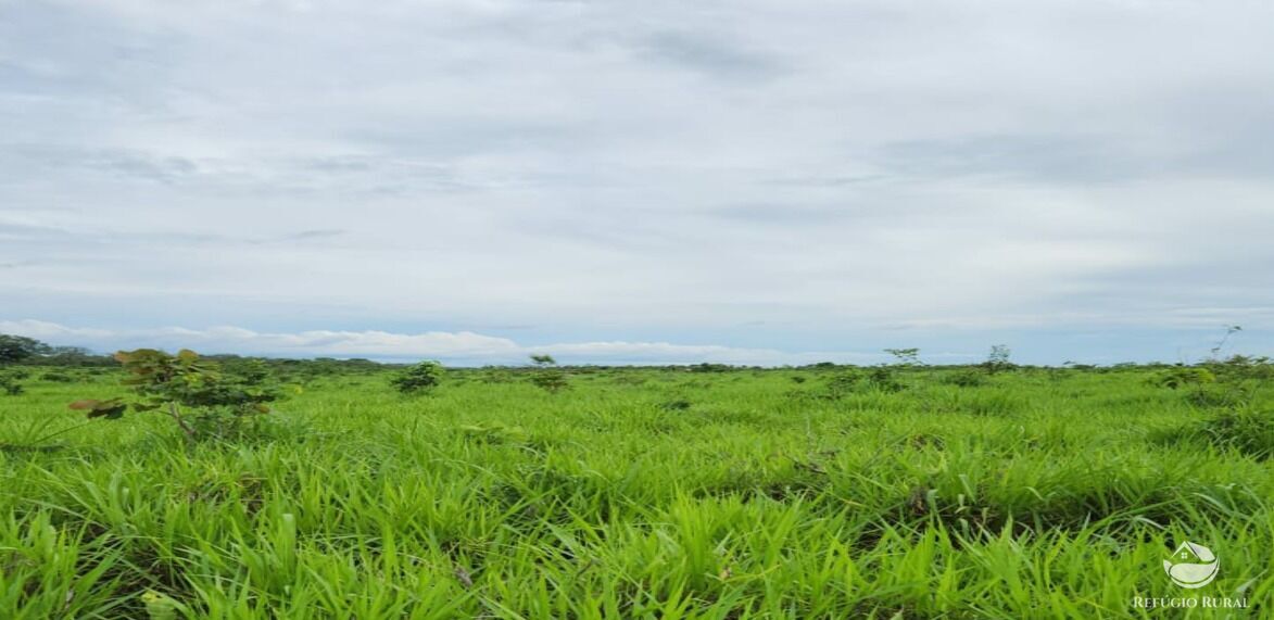 Fazenda à venda com 6 quartos, 50578000m² - Foto 26