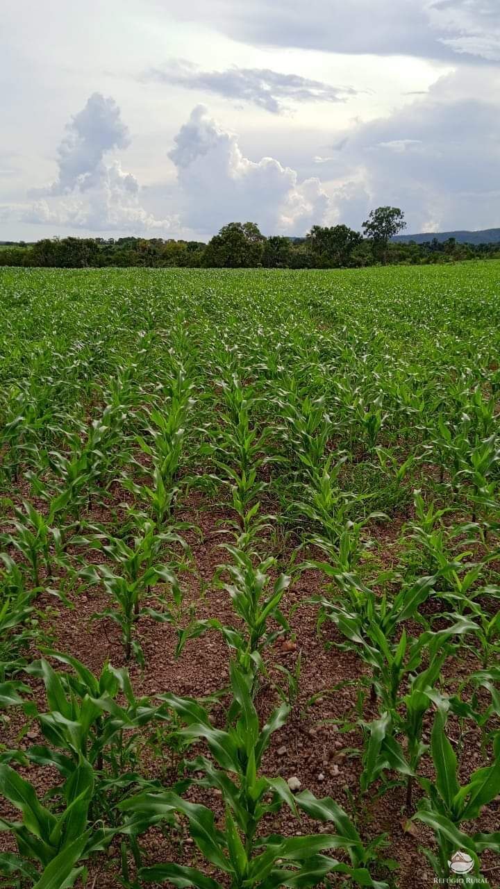 Fazenda à venda com 6 quartos, 50578000m² - Foto 8