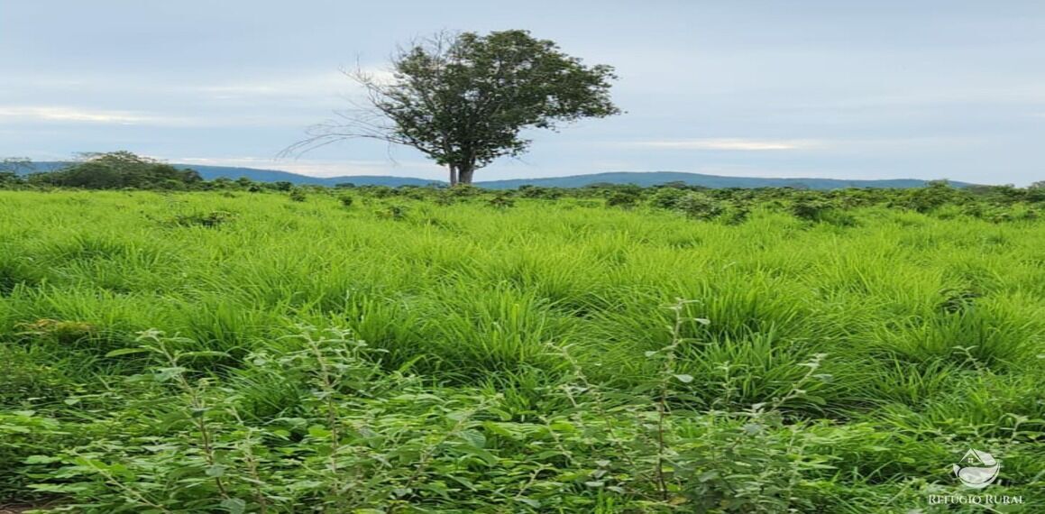 Fazenda à venda com 6 quartos, 50578000m² - Foto 15