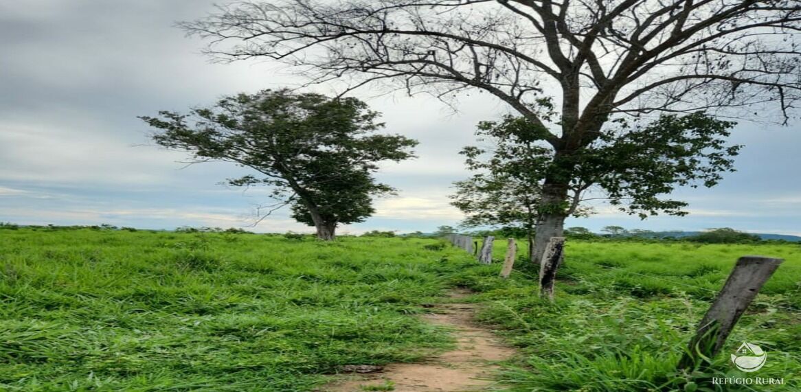 Fazenda à venda com 6 quartos, 50578000m² - Foto 24