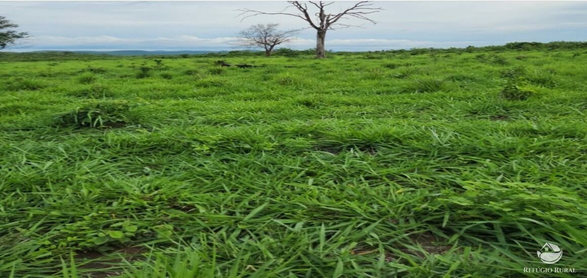 Fazenda à venda com 6 quartos, 50578000m² - Foto 19