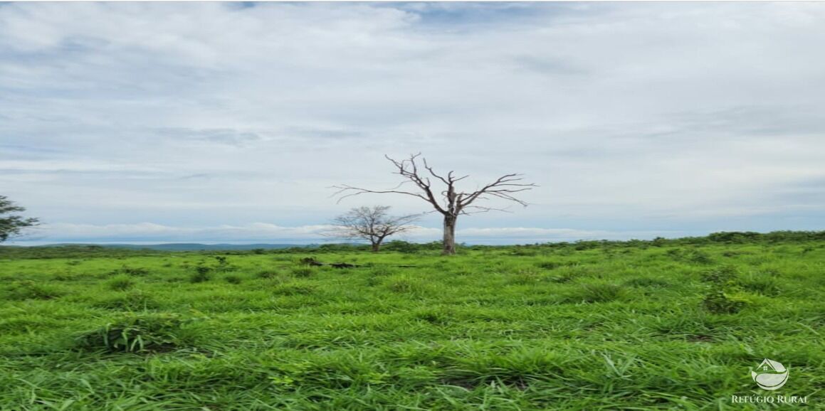 Fazenda à venda com 6 quartos, 50578000m² - Foto 18