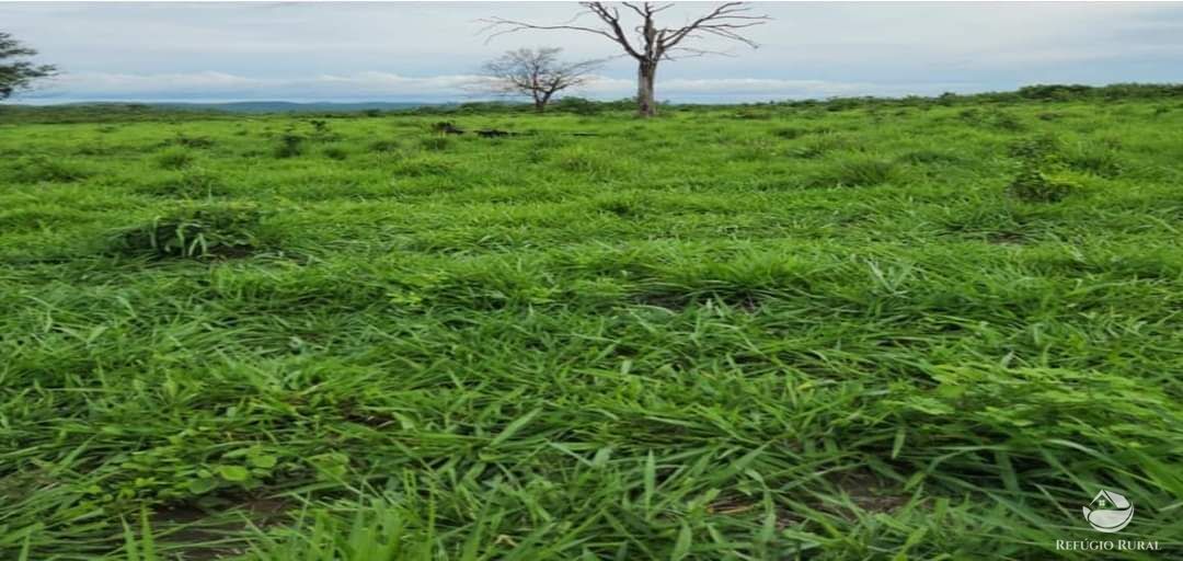 Fazenda à venda com 6 quartos, 50578000m² - Foto 9