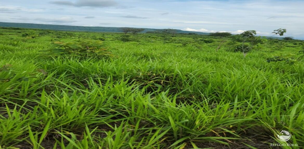 Fazenda à venda com 6 quartos, 50578000m² - Foto 21