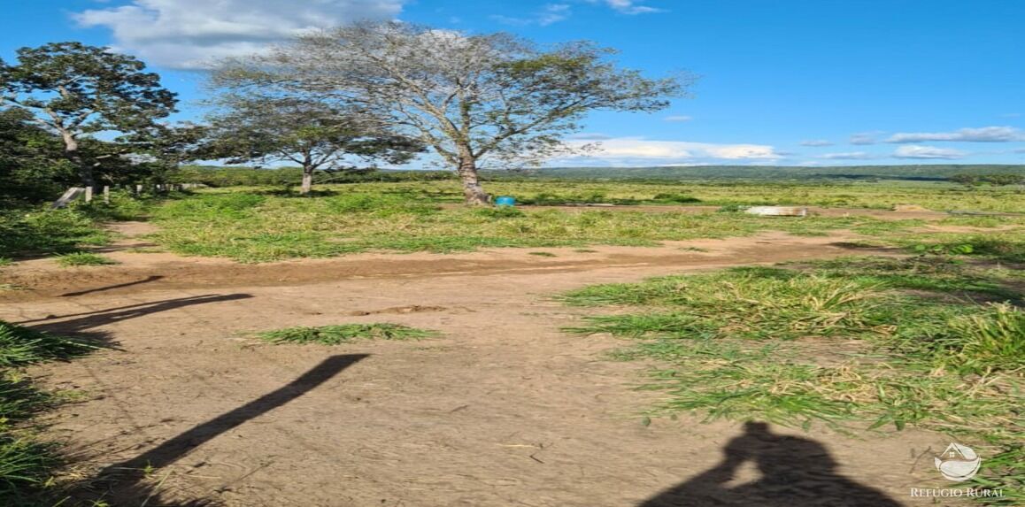 Fazenda à venda com 6 quartos, 50578000m² - Foto 7