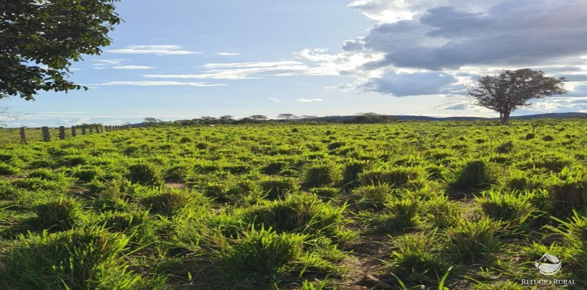 Fazenda à venda com 6 quartos, 50578000m² - Foto 6