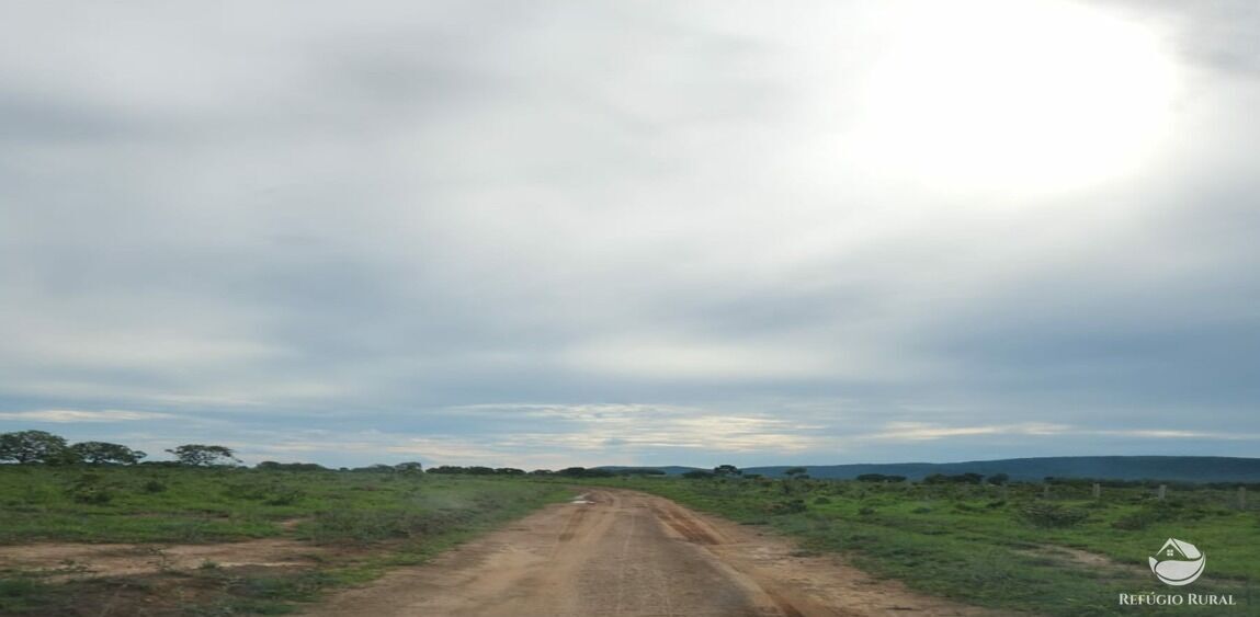 Fazenda à venda com 6 quartos, 50578000m² - Foto 14