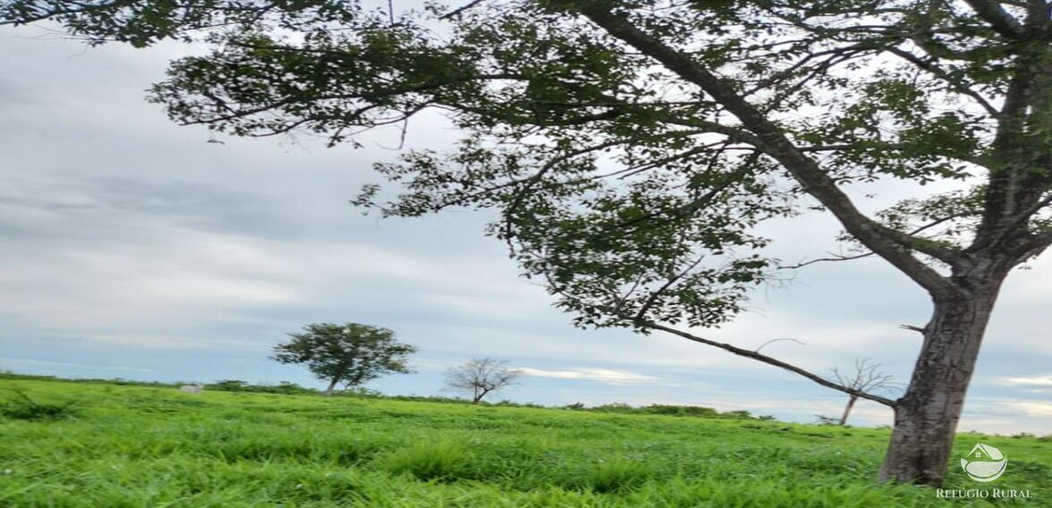 Fazenda à venda com 6 quartos, 50578000m² - Foto 28