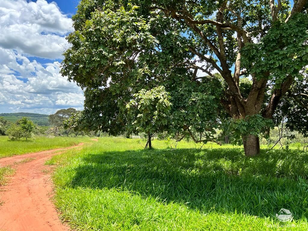 Fazenda à venda com 3 quartos, 683000m² - Foto 13