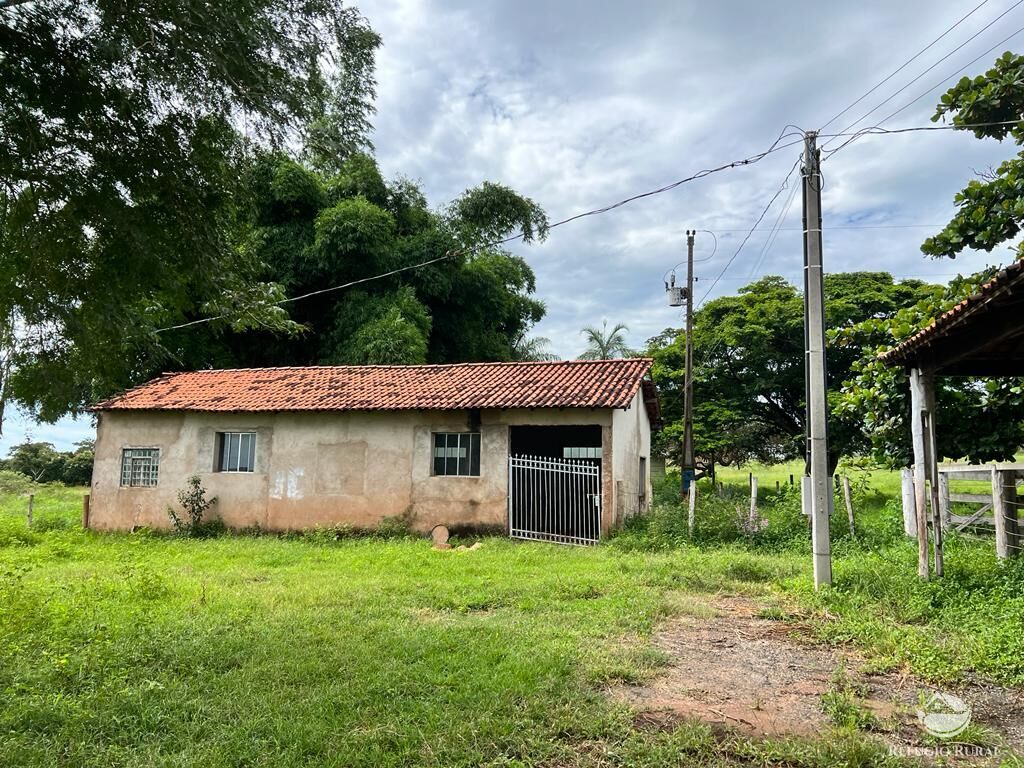 Fazenda à venda com 3 quartos, 683000m² - Foto 15