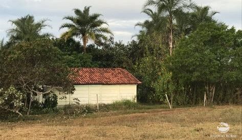 Fazenda à venda com 3 quartos, 683000m² - Foto 49