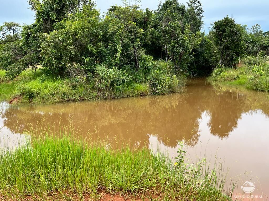 Fazenda à venda com 3 quartos, 683000m² - Foto 22