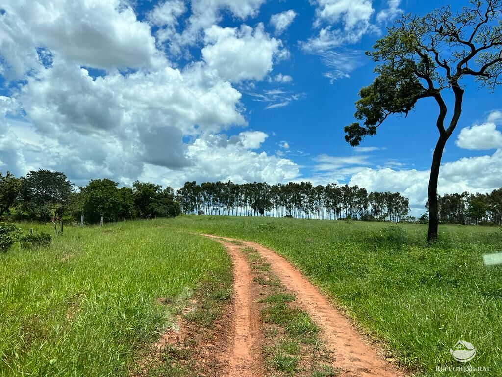 Fazenda à venda com 3 quartos, 683000m² - Foto 10