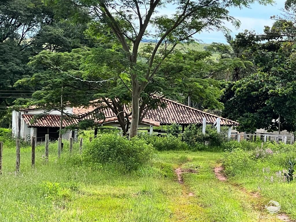 Fazenda à venda com 3 quartos, 683000m² - Foto 16