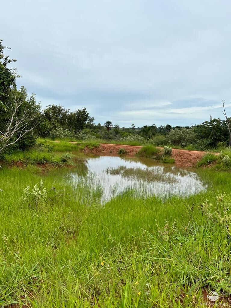 Fazenda à venda com 3 quartos, 683000m² - Foto 21