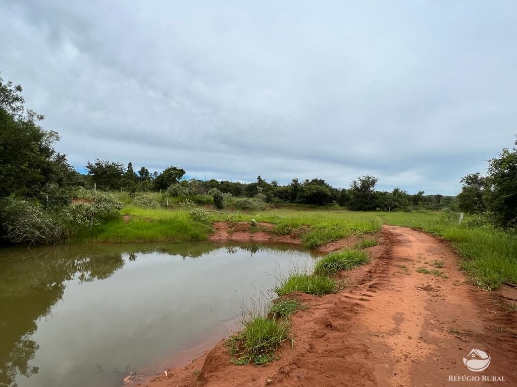 Fazenda à venda com 3 quartos, 683000m² - Foto 25