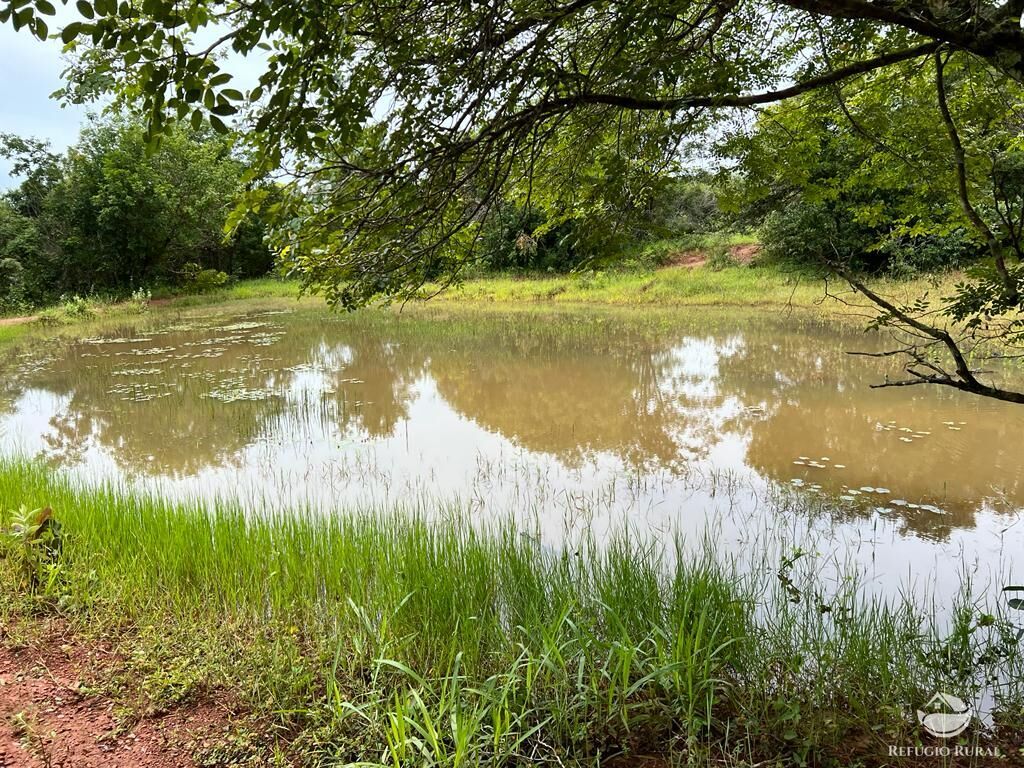 Fazenda à venda com 3 quartos, 683000m² - Foto 28